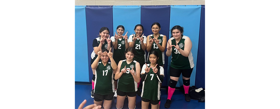 volleyball